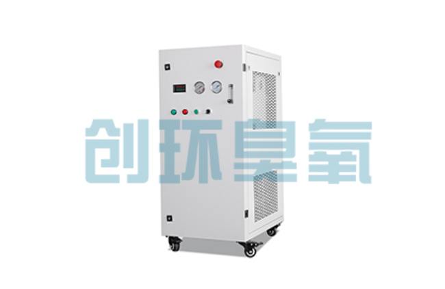 贵州比传统换水更高效?臭氧发生器在石斑鱼养殖中的水质净化原理解析